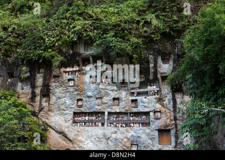 Tau Tau sind Holzpuppen repräsentieren die tote Person in Bestattungsriten in Tana Toraja in Zentral-Sulawesi in Indonesien Stockfoto