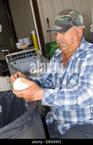 McLeod Farms McBee South Carolina USA Stockfoto