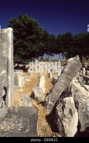 Ruinen eines römischen Theaters Gymnasium in der antiken griechischen Stadt Ephesus in der Provinz Izmir Türkei Stockfoto