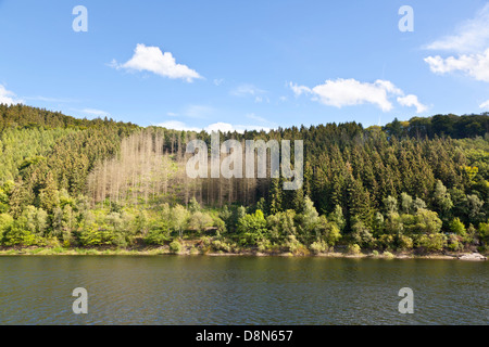 See-Rursee Klippe Seeufer mit bewölktem Himmel und Sonne im Sommer. Stockfoto