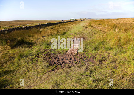 Schlammigen Pfad entlang der Hadrianswall Stockfoto