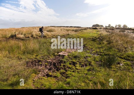 Schlammigen Pfad am Hadrianswall Stockfoto