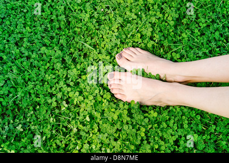 Füße auf einer Wiese Stockfoto