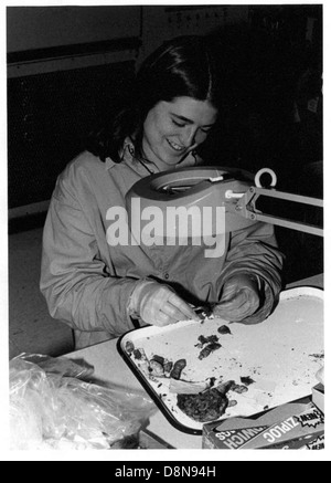 Ein Vintage-Schwarzweiß-Foto zeigt eine Frau, die fleißig in einem Labor arbeitet. Sie beschäftigt sich mit wissenschaftlicher Arbeit und spiegelt die historische Rolle der Frauen in der frühen wissenschaftlichen Forschung wider. Stockfoto