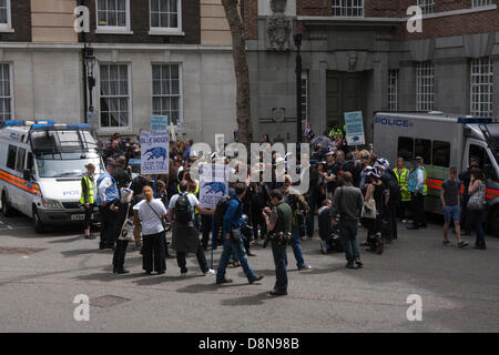 London, UK. 1. Juni 2013. Eine Delegation von mehreren Dutzend Aktivisten liefert eine Petition an DEFRA aus Protest gegen die geplante Keulung der Dachse. Bildnachweis: Paul Davey/Alamy Live-Nachrichten Stockfoto