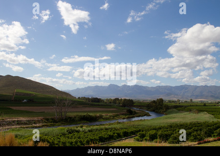 Blick über die Weinberge des Breede River, Robertson, Südafrika, im Vordergrund Stockfoto