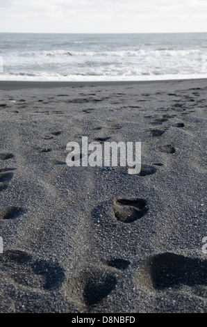 Fußspuren im schwarzen Sandstrand, Island Stockfoto