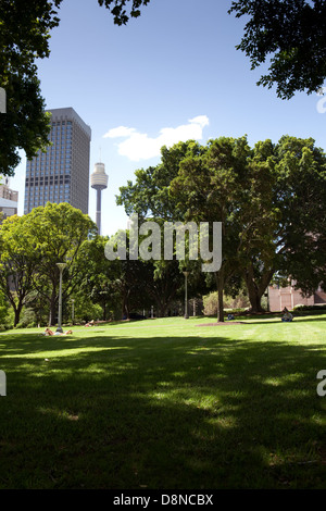 Ein Blick auf den Hyde Park in Sydney, Australien Stockfoto