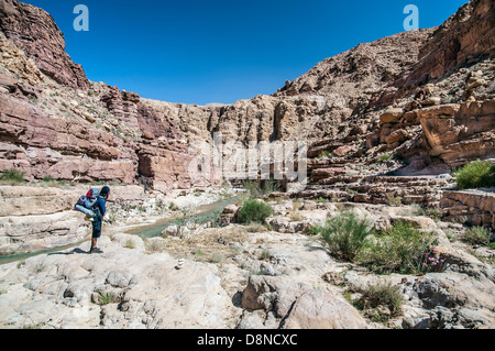 Bewundern Sie die Landschaft in Jordanien Wüste, Wadi Hasa Wanderer Stockfoto