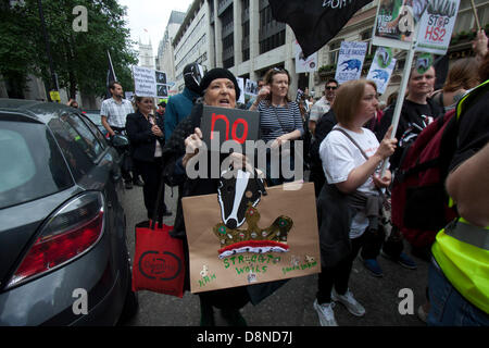 London UK. 1. Juni 2013.  Demonstranten und Tierschützer März nach Westminster gegen die umstrittenen Pläne der Regierung zur Einführung Dachs Keulung zur Bekämpfung der TB bei Rindern Credit: Amer Ghazzal/Alamy Live-Nachrichten Stockfoto