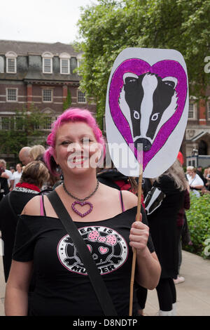 London, UK. 1. Juni 2013. Demonstranten marschieren durch die Londoner gegen die britische Regierung umstritten pilot Dachs Cull die am 1. Juni dieses Jahres beginnen. Die Regierung rief die Keulung im Bemühen um die Verhinderung der Ausbreitung von bovine Tuburculosis, die sie behaupten, ist getragen von Dachsen und an Vieh, aber Demonstranten sagen, dass es keine wissenschaftliche Grundlage für eine Keulung gibt und schießen die Dachse unnötig und unmenschlich sein wird. Bildnachweis: Patricia Phillips/Alamy Live-Nachrichten Stockfoto