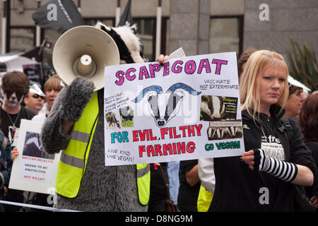 London, England UK 06.01.2013. Demonstranten marschieren durch die Londoner gegen die britische Regierung umstritten pilot Dachs Cull die am 1. Juni dieses Jahres beginnen. Die Regierung rief die Keulung im Bemühen um die Verhinderung der Ausbreitung von bovine Tuburculosis, die sie behaupten, ist getragen von Dachsen und an Vieh, aber Demonstranten sagen, dass es keine wissenschaftliche Grundlage für eine Keulung gibt und schießen die Dachse unnötig und unmenschlich sein wird. Stockfoto