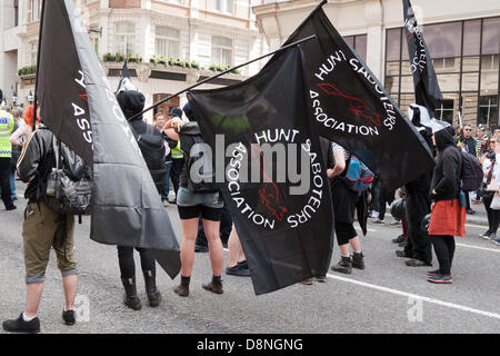 London, England UK 06.01.2013. Demonstranten marschieren durch die Londoner gegen die britische Regierung umstritten pilot Dachs Cull die am 1. Juni dieses Jahres beginnen. Die Regierung rief die Keulung im Bemühen um die Verhinderung der Ausbreitung von bovine Tuburculosis, die sie behaupten, ist getragen von Dachsen und an Vieh, aber Demonstranten sagen, dass es keine wissenschaftliche Grundlage für eine Keulung gibt und schießen die Dachse unnötig und unmenschlich sein wird. Stockfoto