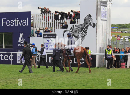 Epsom Downs Surrey UK. 1. Juni 2013. Derby-Tag 2013 in Epsom, gesponsert von Investec. Das höchstdotierte Pferderennen Großbritanniens, und die renommiertesten des Landes fünf Klassiker. Die Derby-Renndistanz ist 1m 4f 10y (2.423 m), es ist ein flaches Pferd Rennen offen für drei-jährigen Vollblut Hengst- und Stutfohlen. In diesem Jahr gewann durch Nr. 12 Herrscher der Welt von Aidan O'Brien, ausgebildet von Ryan Moore sehen Sie hier nach den Sieg geritten. Bildnachweis: Jubilee Bilder/Alamy Live-Nachrichten Stockfoto