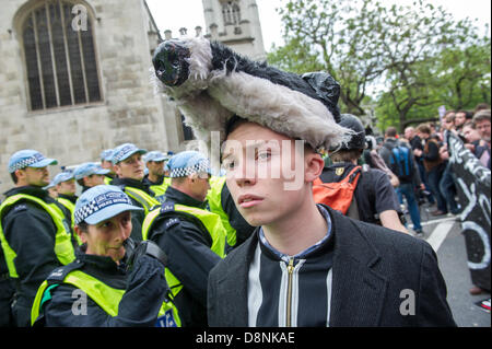 London, UK. 1. Juni 2013. Eine kleine Gruppe von der BNP versuchen, um nach der Schließung von Moscheen und der Deportation der radikalen geistlichen Fragen zu marschieren.  Ihre geplante Route nach Whitehall war aber von linken Demonstranten außerhalb der Häuser des Parlaments blockiert werden.  Am Ende kommt ein Protest von Tierliebhaber, zur Unterstützung der Dachs und gegen sie wird getötet, mit der Anti-faschistischen Gruppe durcheinander. Westminster, London, UK. © Guy Bell/Alamy Live-Nachrichten Stockfoto