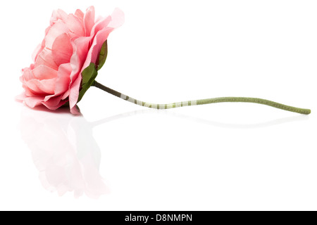 Künstliche rosa Blumen auf weißem Hintergrund mit Reflexion Stockfoto