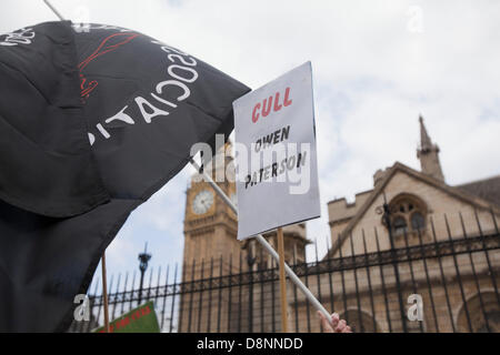 London, UK. 1. Juni 2013. Kundgebung in Westminster gegen die BNP Nationalpartei von anti-faschistischen Aktivisten und eine kleine Anzahl von Dachs cull Demonstranten. Bildnachweis: Sebastian Remme/Alamy Live-Nachrichten Stockfoto