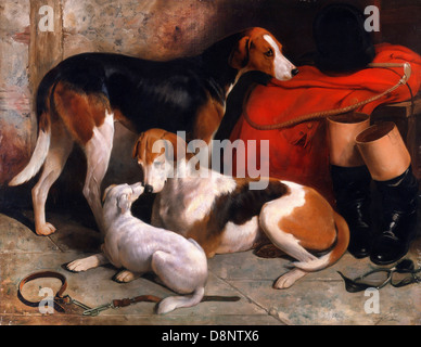 William Barraud, A Couple of Foxhounds mit einem Terrier, die Eigentum des Herrn Henry Bentinck. Ca. 1845. Öl auf Leinwand. Stockfoto