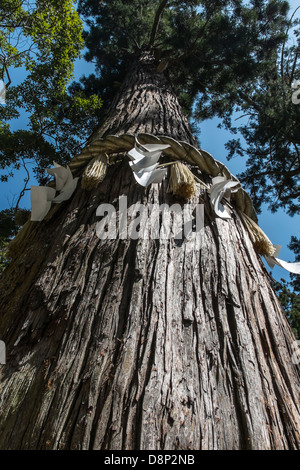 Kibune Schrein, Sakyō-Ku, Kyoto, Japan Stockfoto