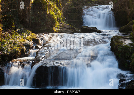 Watersmeet fällt, wo die East Lyn River und Hoar Eiche Wasser zusammenlaufen, Devon England UK Stockfoto