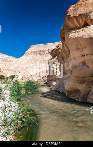 Wasser fließt durch die westlichen Jordanien in Wadi Hasa Stockfoto