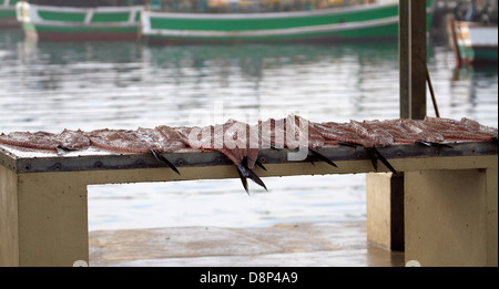 Gesalzen frische "Snoek" oder "Cape Snoek', (Thyrsites Atun) für den Verkauf am Hafen in Kalk Bay, in der Nähe von Kapstadt. Stockfoto