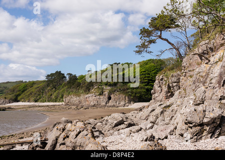 Die Küste bei Silverdale, Lancashire. Dies ist das Nordende oder Morecambe Bay in der Nähe der Mündung des Flusses Kent. Stockfoto