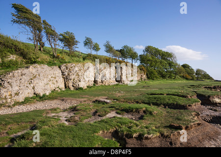 Die Küste bei Silverdale, Lancashire. Dies ist das Nordende oder Morecambe Bay in der Nähe der Mündung des Flusses Kent. Stockfoto