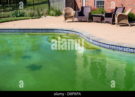 Hinterhof-Pool hinter modernen Einfamilienhaus am Pool öffnen mit grünen stagnierenden Algen gefüllt Wasser vor der Reinigung Stockfoto