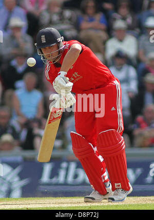 Southampton, UK. 2. Juni 2013. Englands Jonathan Trott während der 2. Nat West eintägigen internationalen Cricket match zwischen England und Neuseeland im Lords Cricket Ground auf 2. Juni 2013 in London, England, (Foto von Mitchell Gunn/ESPA/Alamy Live News) Stockfoto