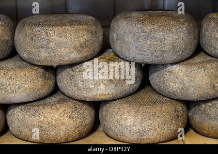 Käse auf dem Display in einem Shop in Pienza, Italien. Stockfoto