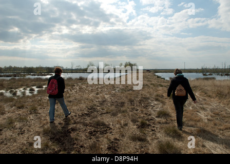 Freistatter Moor-Niedersachsen-Deutschland Stockfoto