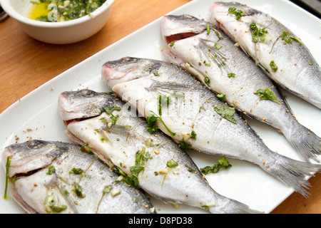 Rohe aus Goldbrasse mit Zitronenscheiben und Kräutern Stockfoto