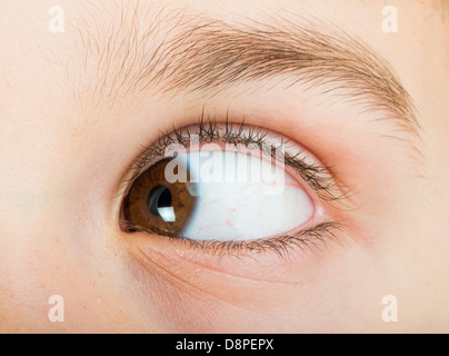 Menschliche Auge auf der linken Seite. Schließen Sie Studio gedreht Stockfoto