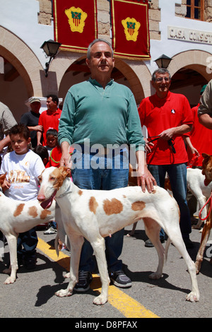 Ibizenkische Jagdhund - Podenco-Seins gehalten durch den Hausmeister auf einer Land-Messe, Ibiza, Spanien Stockfoto