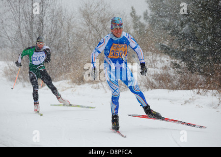 Zwei Skifahrer Ski in der Mora-Vasaloppet während eines Schneesturms am 10. Februar 2013 in der Nähe von Mora, Minnesota. Stockfoto