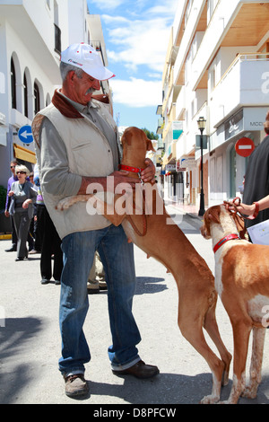 Ibizenkische Jagdhund - Podenco - spielen mit ihren Hausmeister auf einer Land-Messe, Ibiza, Spanien Stockfoto