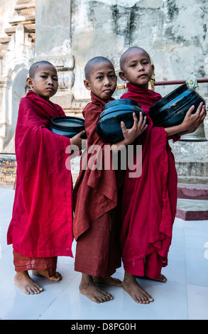 Neuling buddhistische Mönche sammeln von Almosen Schüsseln mit Essen am Morgen von Dorfbewohnern in der Nähe von Bagan Burma Myanmar Stockfoto