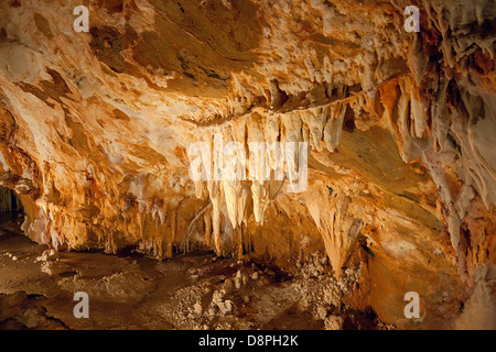 eine große Formation von Stalagmiten und Stalaktiten genannt Orgelpfeifen in Höhlen von Toirano Stockfoto