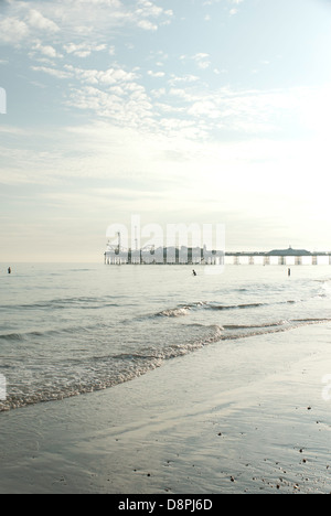 Bei Ebbe am Strand von Brighton, mit Brighton Pier Silhouette in der späten Nachmittagssonne, Brighton, England, UK Stockfoto