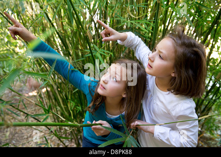 Schwester Zwillingsmädchen spielen in der Natur zeigt finger aus grünen Stöcke Stockfoto