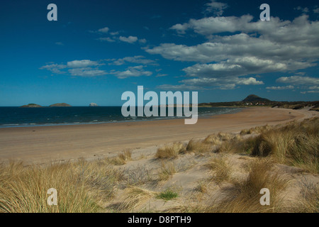 North Berwick Recht, Bass Rock und breiten Sandstrand in der Nähe von North Berwick, East Lothian Stockfoto