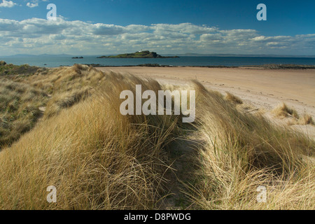 Fidra Leuchtturm in der Nähe von Yellowcraigs, East Lothian Stockfoto