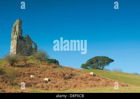 Mount Edgcumbe Torheit, Mount Edgcumbe Country Park, Cornwall Stockfoto