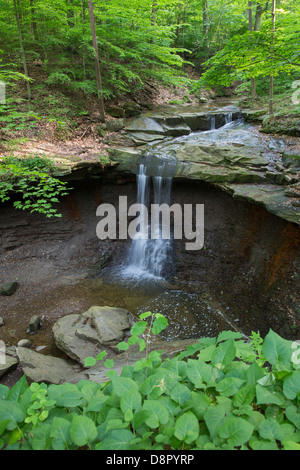 Boston, Ohio - blaue Henne fällt im Cuyahoga Valley National Park. Stockfoto