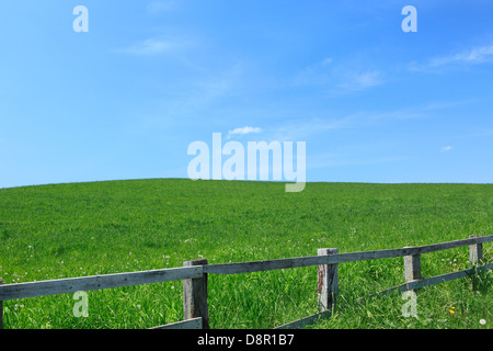 Grünland und blauer Himmel mit Wolken, Hokkaido Stockfoto