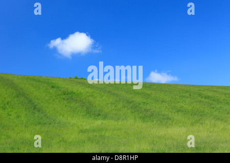 Grünland und blauer Himmel mit Wolken, Hokkaido Stockfoto