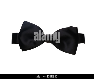 Fliege auf auf weißem Hintergrund. Stockfoto