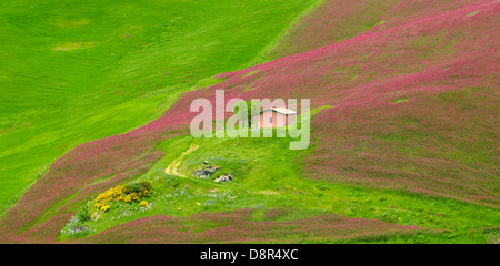 Sizilien Frühlingslandschaft mit Blumen in zentralen Sizilien, Italien Stockfoto