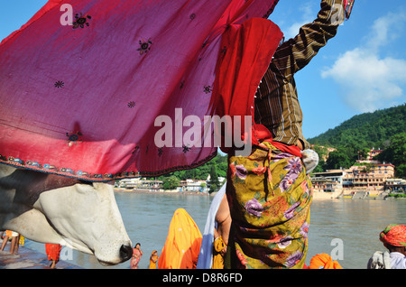 Hindu-Frau trocken Sari nach einem rituellen Bad, Rishikesh, Indien Stockfoto